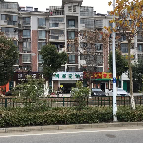 明星宠物(雪浪分店):无锡市滨湖区华莱坞/雪浪附近