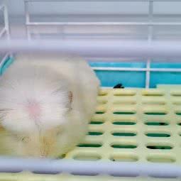 呆萌呆萌:北京城区通州区通州北苑附近