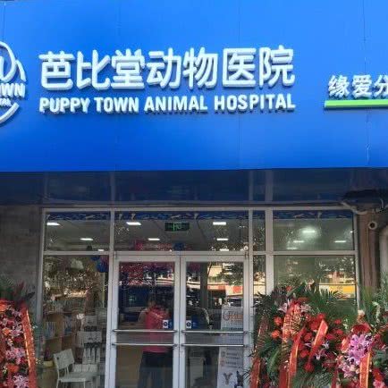 芭比堂动物医院:无锡市梁溪区清扬路附近
