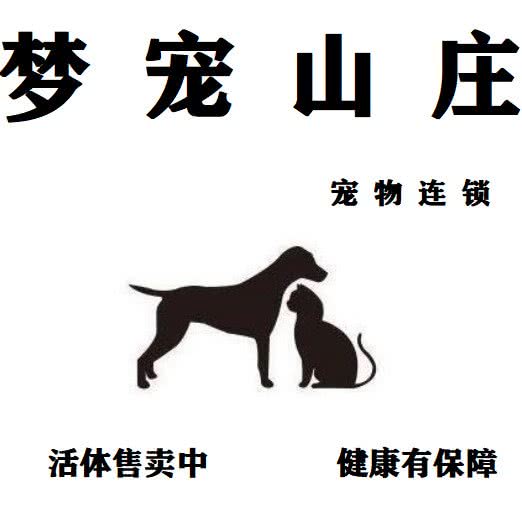梦宠山庄·幼犬专售·无锡犬舍:无锡市梁溪区青石路/运河公园附近