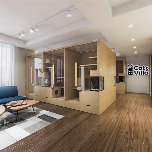 喵格里拉猫酒店SPA:北京城区朝阳区三里屯/工体附近