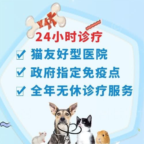 派联宠物医院 ·猫科·异宠·骨科:无锡市梁溪区阳光购物广场附近