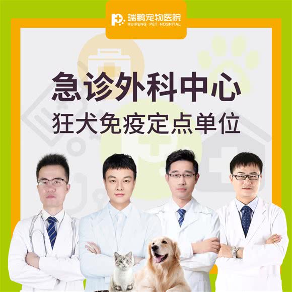 瑞鹏宠物医院(春申路分院，小动物全科、疑难杂症专科分院):无锡市梁溪区莲蓉桥/沃尔玛附近