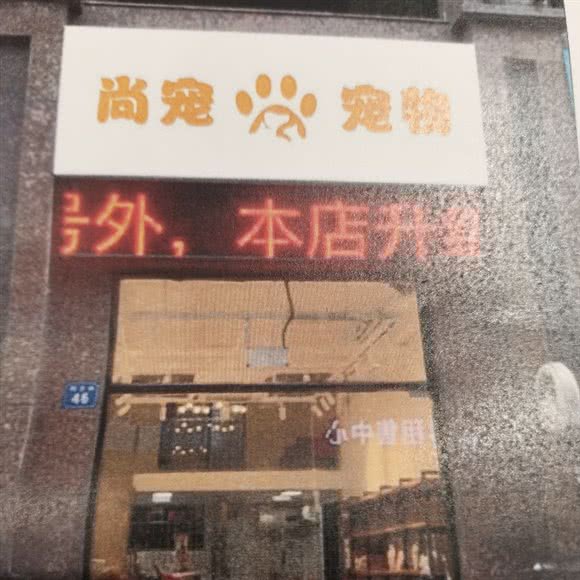 尚宠狗狗:无锡市梁溪区中桥/芦庄附近