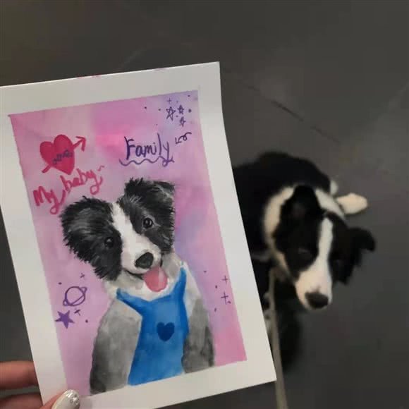 宏桢宠物酒店·宠物管家(西水东店):无锡市梁溪区西水东/体育公园附近