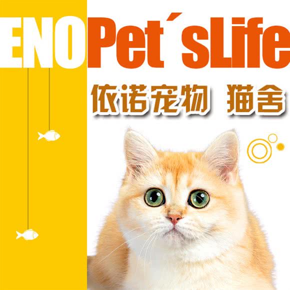 依诺宠物·猫舍(西水东商业街店):无锡市梁溪区西水东/体育公园附近