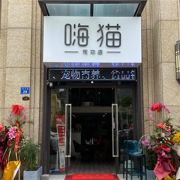 嗨猫宠物生活馆:无锡市梁溪区招商城/塘南附近