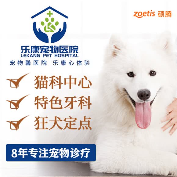 乐康宠物医院·特色猫科·眼科院校·狂犬免疫:无锡市梁溪区广石路沿线附近