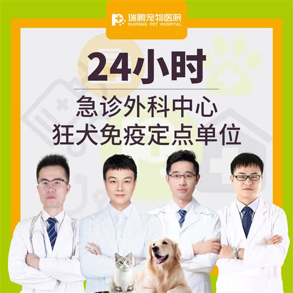 瑞鹏宠物医院·无锡中心医院·爱猫医院·24小时:无锡市梁溪区汇利广场附近