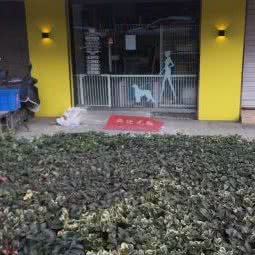 糖果萌宠屋:无锡市梁溪区哥伦布广场附近