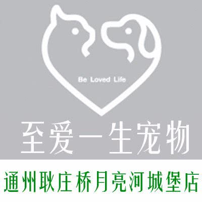 至爱一生宠物(月亮河城堡店):北京城区通州区新华大街附近