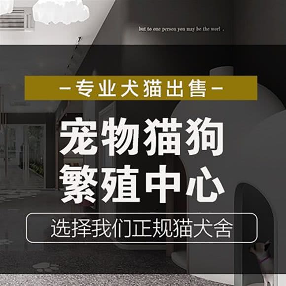 宠万佳:无锡市梁溪区康桥丽景附近