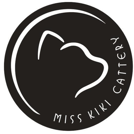 Miss.KiKi cattery猫舍猫咪家庭寄养:无锡市新吴区长江北路沿线附近