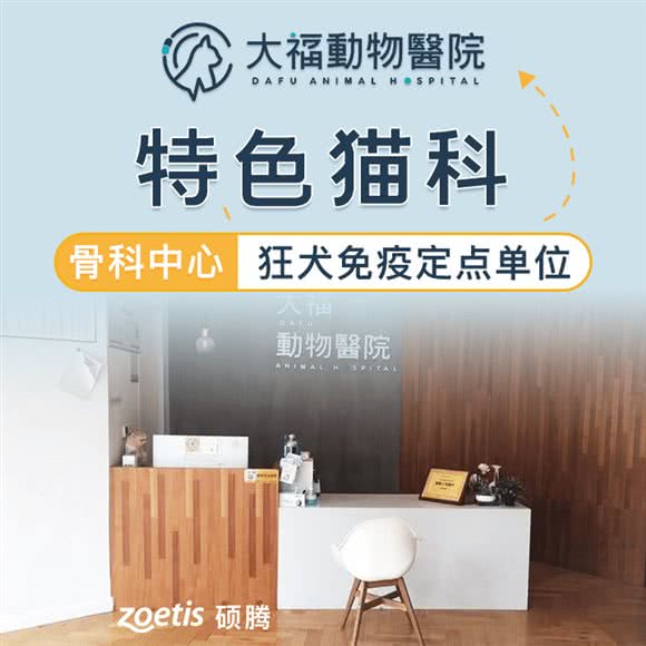 大福动物医院|猫科中心|转诊中心:无锡市新吴区长江北路沿线附近