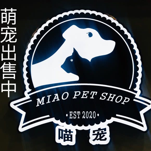 喵汪宠幼宠专售:无锡市新吴区梅村古镇/高新开发区附近