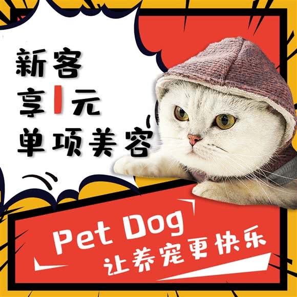 派多格宠物(中山街店):北京城区通州区新华大街附近