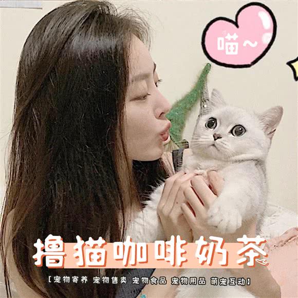 摸一嗷喵Cat fun·猫咖:北京城区通州区新华大街附近