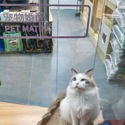 宠宠欲动:无锡市江阴市澄江街道附近