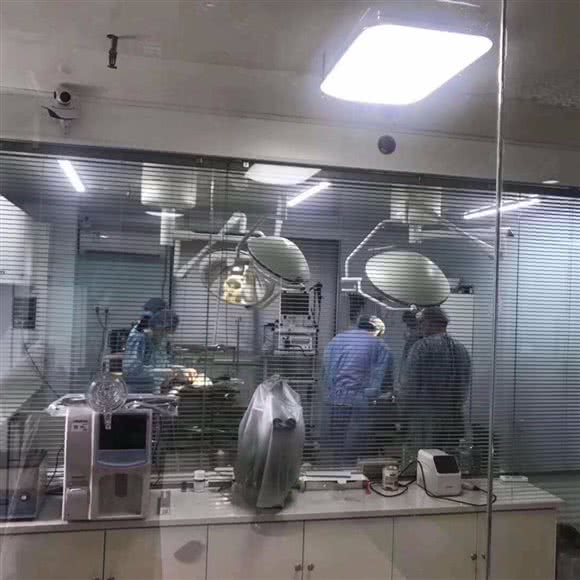 狗宝宝宠物医院:无锡市江阴市澄江街道附近