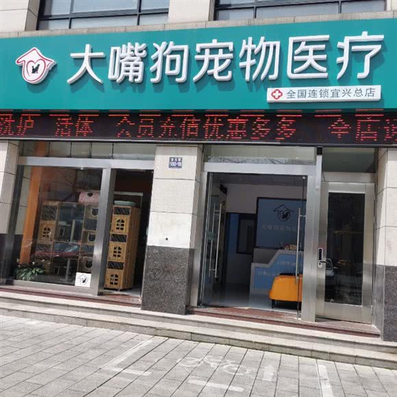 大嘴狗宠物医院:无锡市宜兴市宜城街道附近