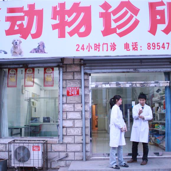 浩特动物诊所:北京城区通州区新华大街附近