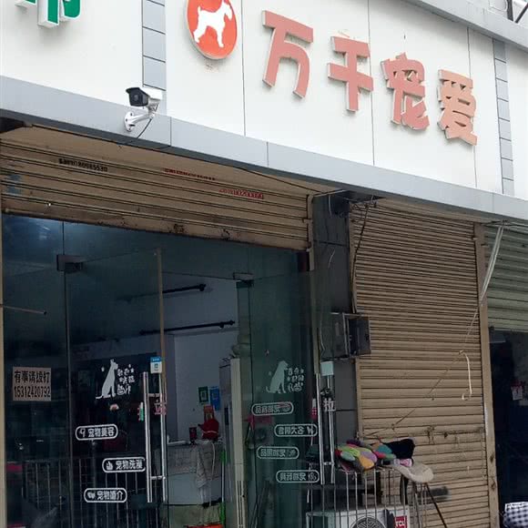 万千宠爱:徐州市鼓楼区徐州老火车站附近