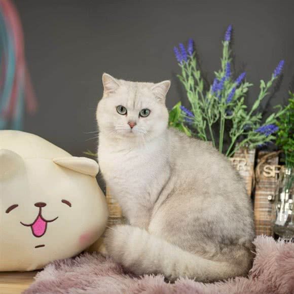 米悠米咻:徐州市鼓楼区马场湖附近