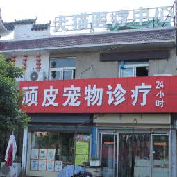 伴侣宠物诊疗:徐州市鼓楼区马场湖附近