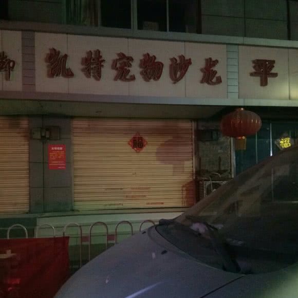 凯特宠物沙龙:徐州市鼓楼区和信广场附近