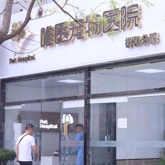 唯医宠物医院·专业洗护(祥和店):徐州市鼓楼区祥和小区附近