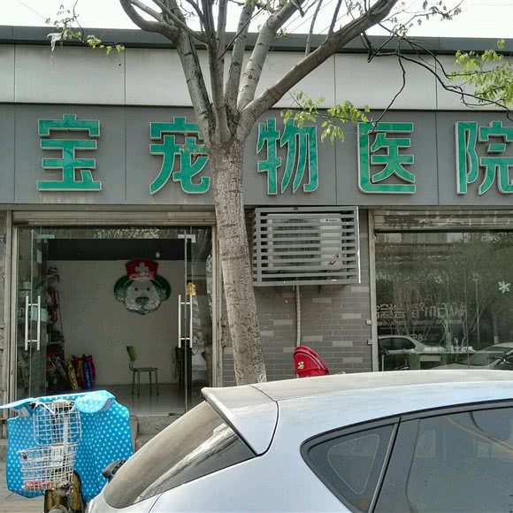 家宝宠物医院:徐州市鼓楼区九龙湖附近