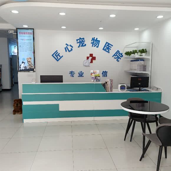 匠心宠物医院:徐州市鼓楼区金山桥附近