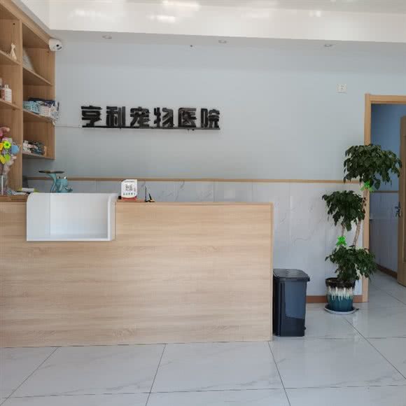 亨利宠物诊所:徐州市鼓楼区金山桥附近