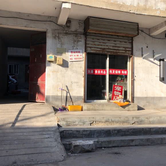 宠物店:徐州市鼓楼区杨庄附近