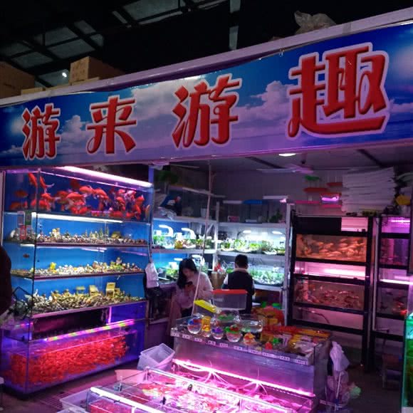 游来游趣:徐州市鼓楼区九里附近