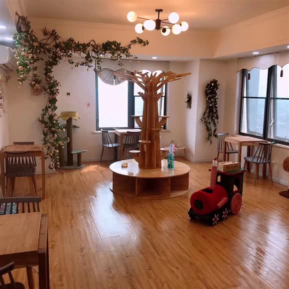 猫一·喵咪咖啡店:徐州市云龙区万达广场附近