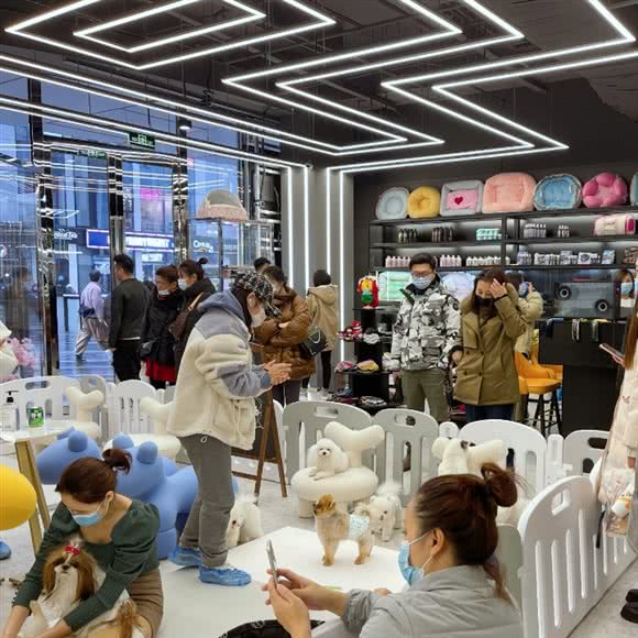 尊宠天下国际宠物俱乐部(三里屯SOHO商场店):北京城区朝阳区三里屯/工体附近