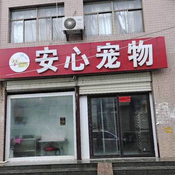安心宠物:徐州市贾汪区贾汪区附近