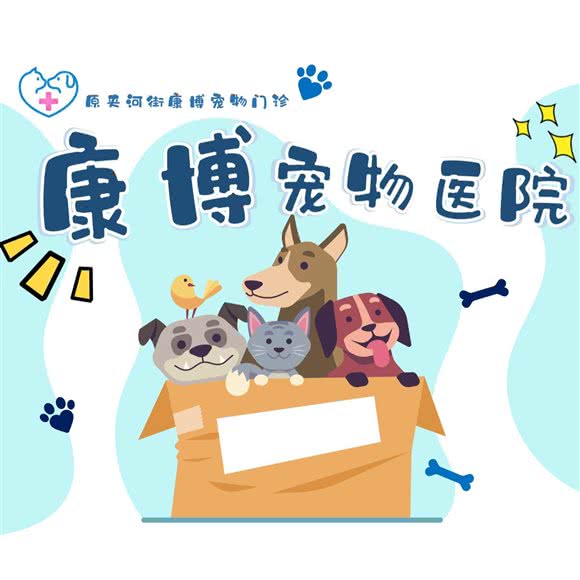 康博宠物医院:徐州市泉山区夹河街附近