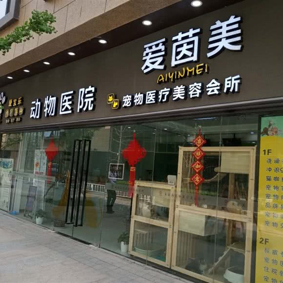 爱茵美动物医院:徐州市泉山区淮海西路附近