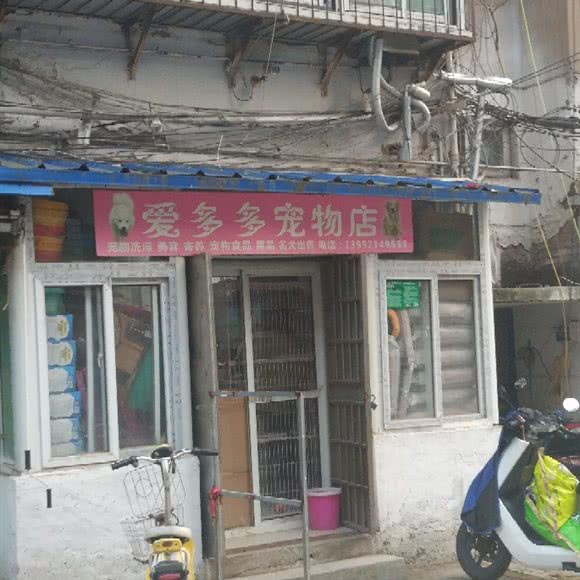 爱多多宠物店:徐州市泉山区彭城广场附近