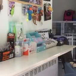 人见仁爱宠物生活馆:北京城区通州区梨园附近