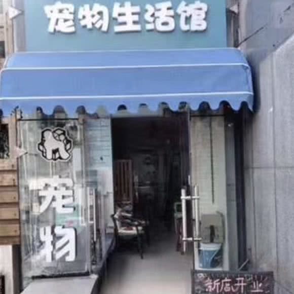 m喵萌萌宠物生活馆:徐州市泉山区段庄广场附近