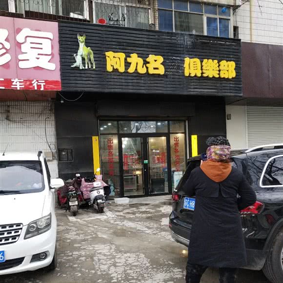 阿九名犬俱乐部:徐州市泉山区段庄广场附近
