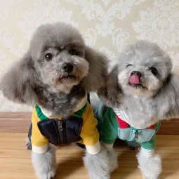 维它动物医院:徐州市泉山区段庄广场附近