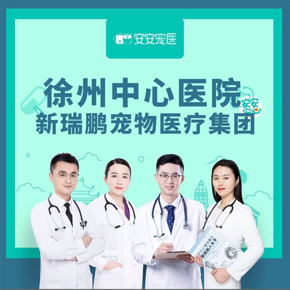 安安宠医(矿山路分院·彩超中心):徐州市泉山区段庄广场附近