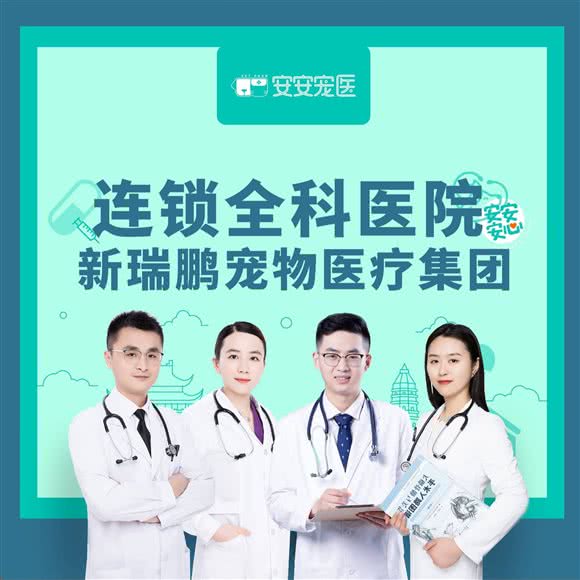 安安宠医(吴庄分院):徐州市泉山区吴庄附近