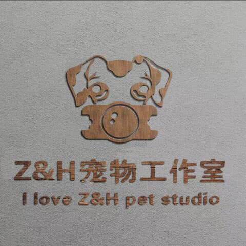 Ｚ&H 高端宠物工作室:徐州市泉山区矿山东路附近