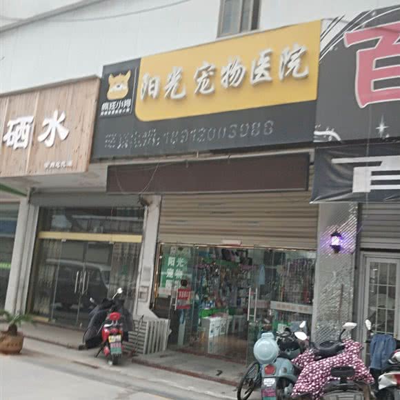 阳光宠物医院:徐州市铜山区新区师大附近