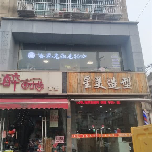 哈妮宠物店猫咖:徐州市铜山区铜山万达广场附近